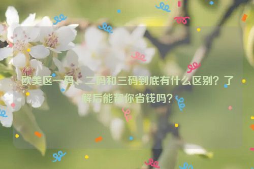 欧美区一码、二码和三码到底有什么区别？了解后能帮你省钱吗？