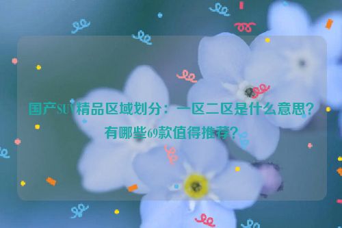 国产SUV精品区域划分：一区二区是什么意思？有哪些69款值得推荐？