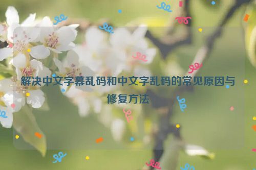 解决中文字幕乱码和中文字乱码的常见原因与修复方法